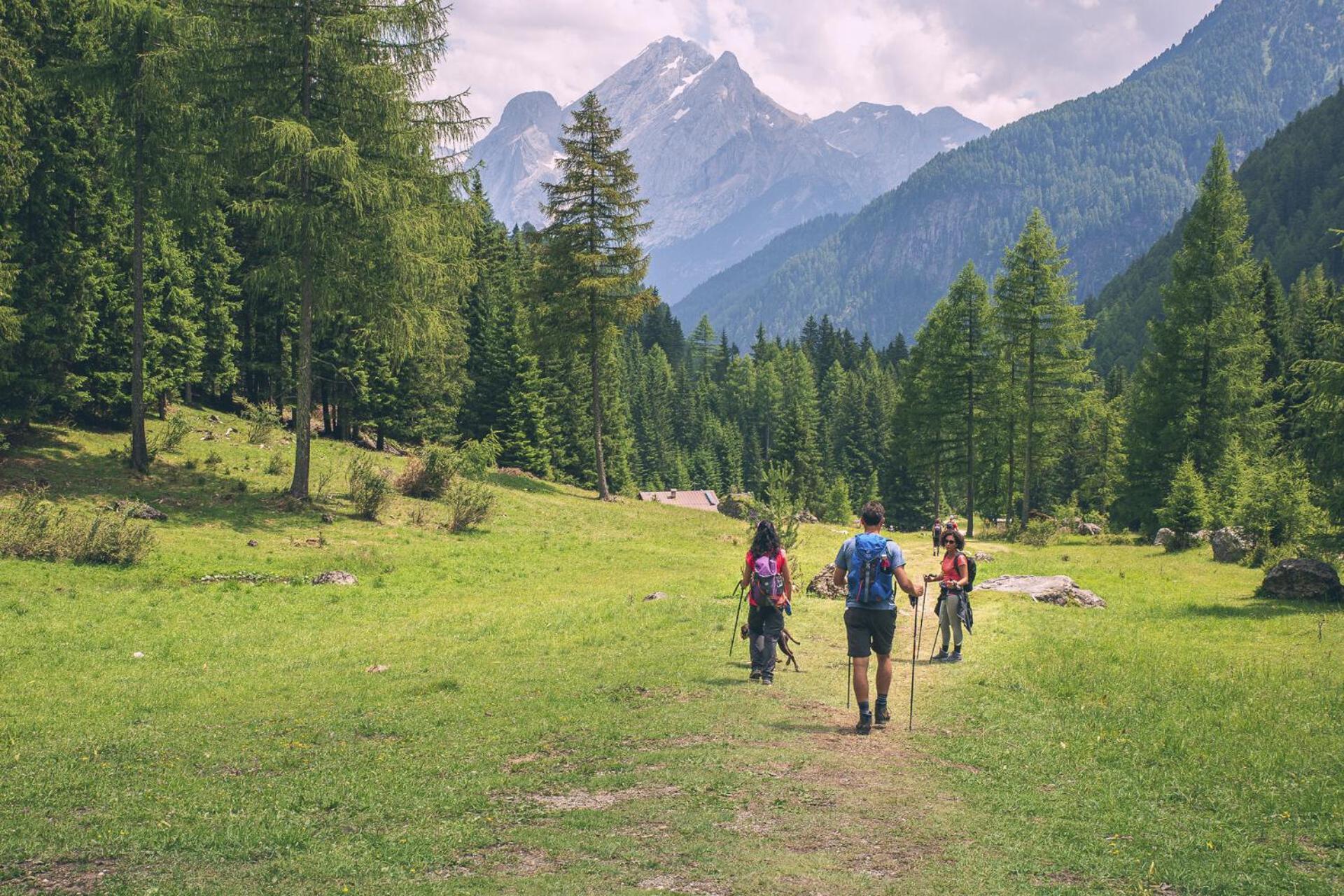 B&B Cesa Planber Mountain View Bike Friendly Canazei Ngoại thất bức ảnh